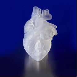 Cartridge Formlabs Elastic Resin (transparent), 1L