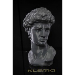 3D printer KLEMA 250 Twin Pro