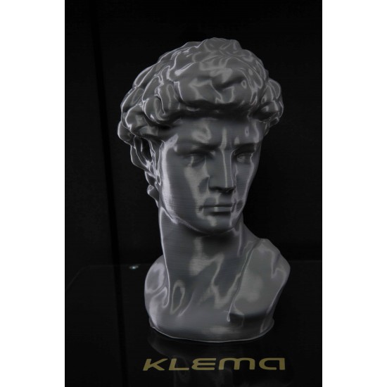 3D printer KLEMA 250 Twin Pro
