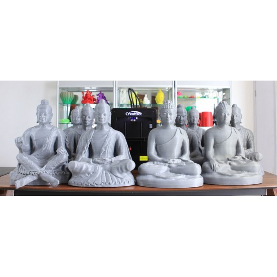 3D printer CreatBot D600 Pro