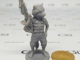 Order accurate 3D printing from Center 3D Print Formlabs Gray Resin 25 microns